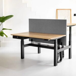 AOKE Move Duo 2 Person Bench Desk